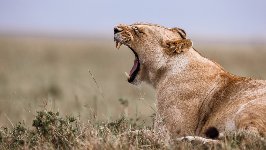 You Are Not Your Anger (Or Any Other Feeling)